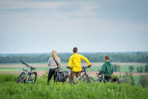 Oder-Neiße-Radweg bei Bad Freienwalde